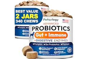 PETSOLOGY (2 Pack) Probiotics for Dogs - 340 Dog Probiotics Chews - Digestive Enzymes & Prebiotics - Support Gut Health, Diarrhea, Gas & Constipation Relief - Itchy Skin, Allergies - Advanced Supplement