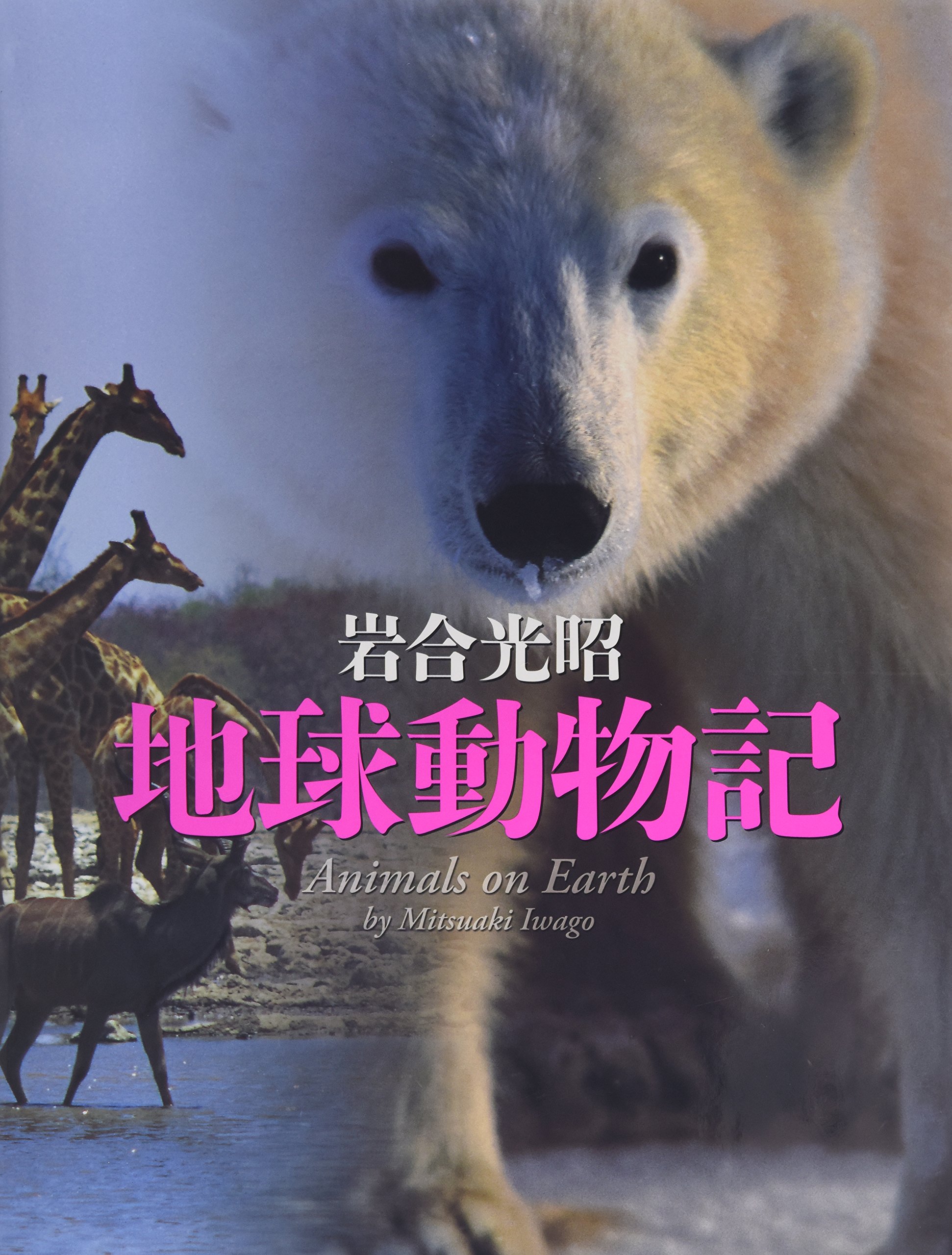 地球動物記 写真記シリーズ 岩合 光昭 岩合 光昭 本 通販 Amazon