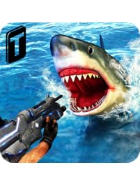 Shark Sniping 2017