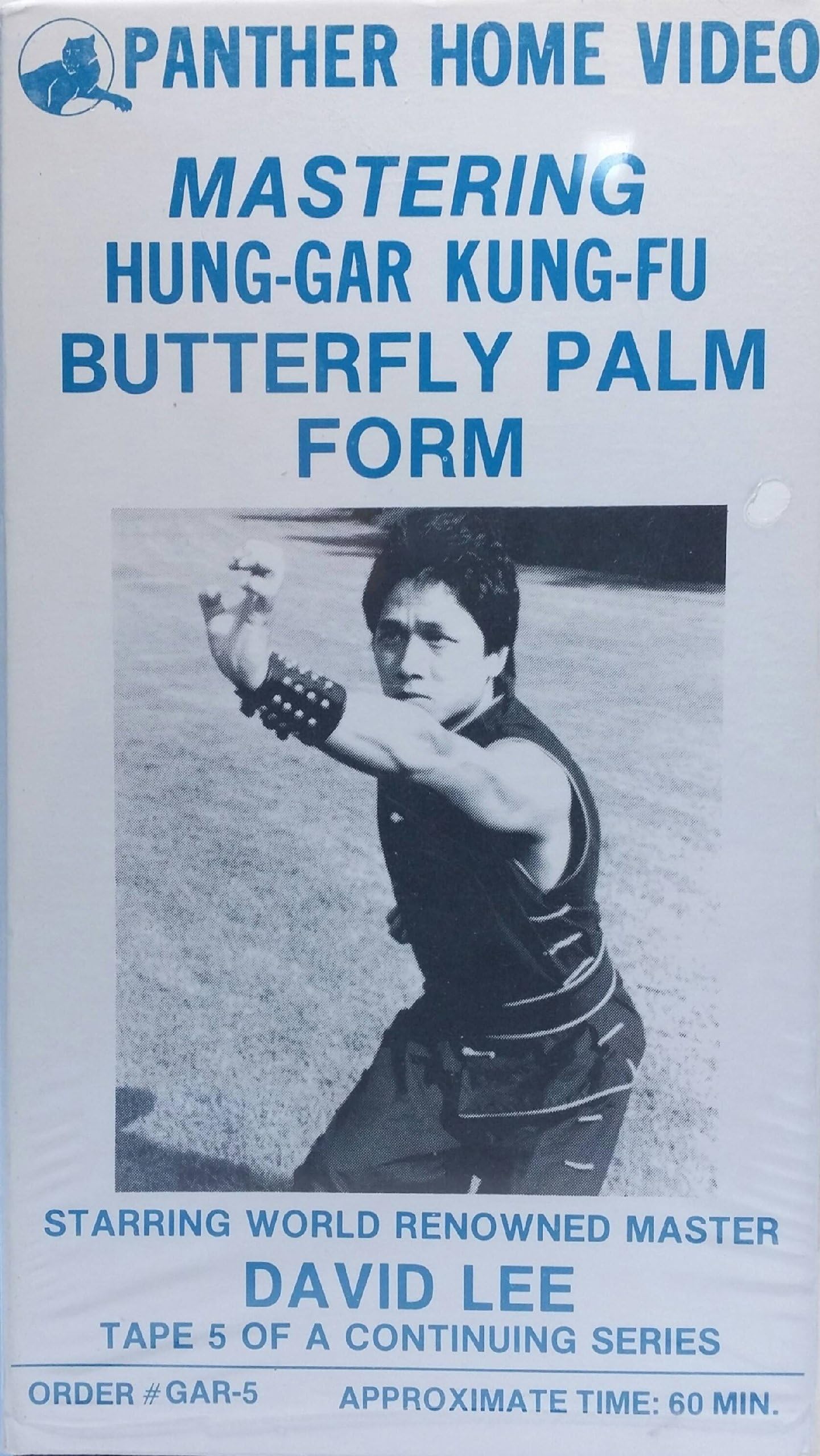 Mastering Hung Gar Kung Fu Butterfly Palm Form [VHS]