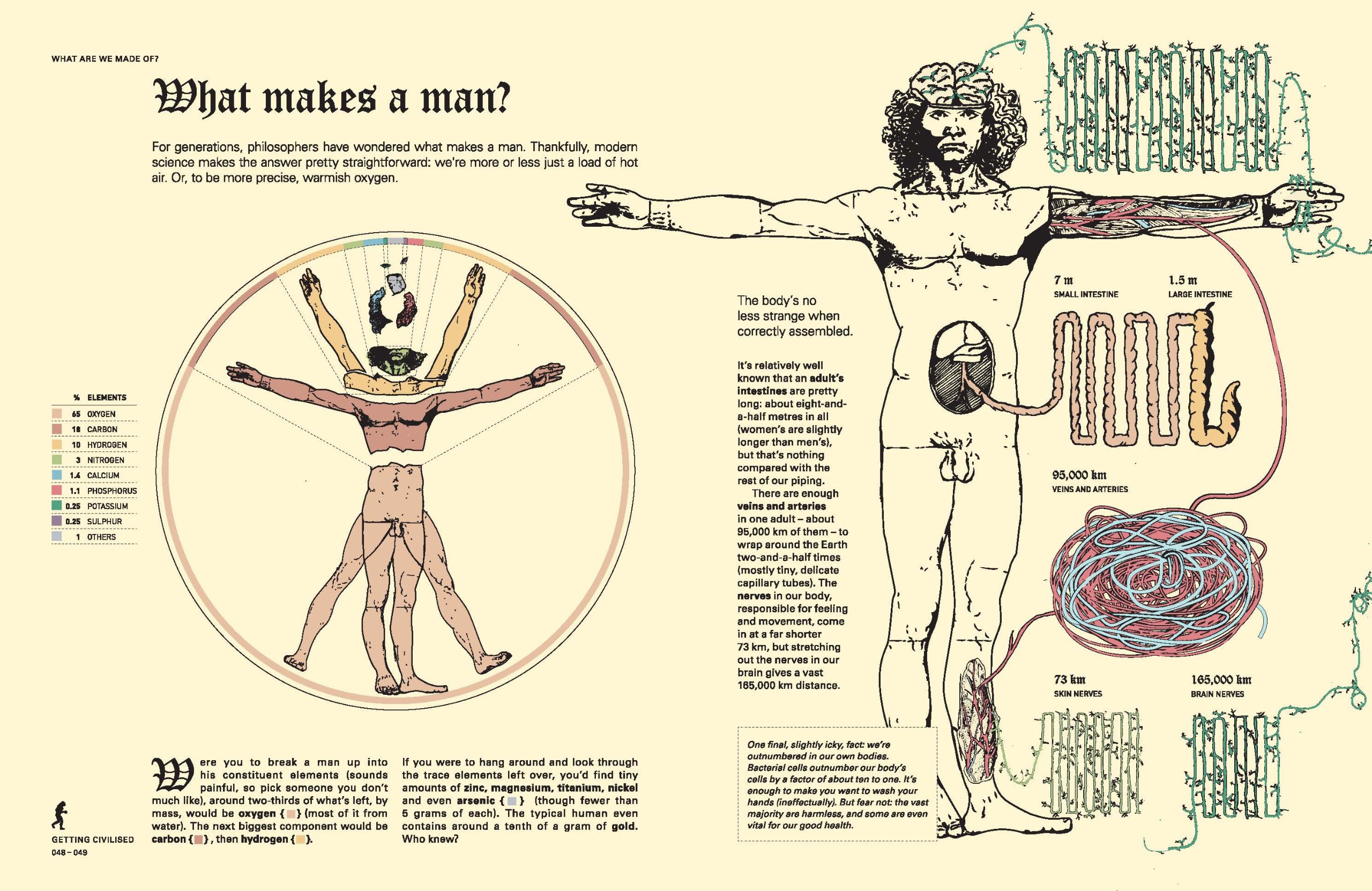 The Infographic History Of The World Amazon Co Uk Efilippo Valentina D Ball James 9780007506156 Books