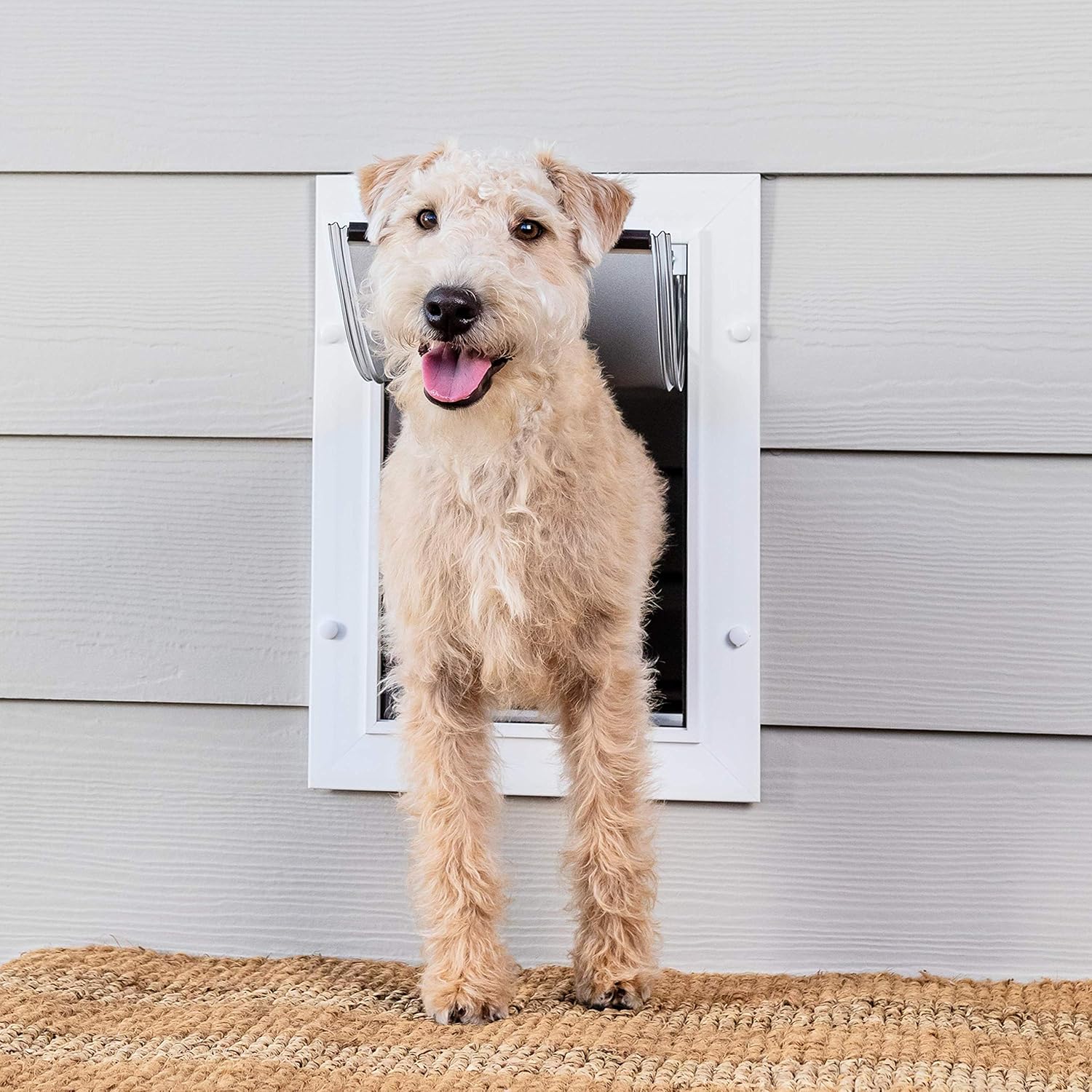 PetSafe Wall Entry Pet Door – Best for Small, Medium and Large Size Pets – DIY Installation – Includes Telescoping Tunnel for Interior and Exterior Wall Installation – Size Medium : Pet Supplies