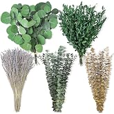 160 Pcs Mixed Dried Eucalyptus Stems &amp; Lavender Flowers, 5 Varieties Preserved Eucalyptus Leaves for Shower Hanging, Wall Hanging, Vase Fillers, Wedding &amp; Green Bathroom Decor