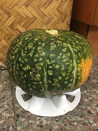 KYC - Soporte de plástico de melón y squash, cuna proectiva, evita ...