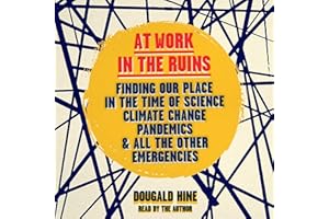 At Work in the Ruins: Finding Our Place in the Time of Science, Climate Change, Pandemics and All Other Emergencies