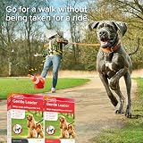 Beaphar Gentle Leader Head Collar for Medium Dogs - Anti-Pull Training view 9