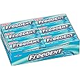 FREEDENT Spearmint Chewing Gum, 15 pieces - PACK OF 24