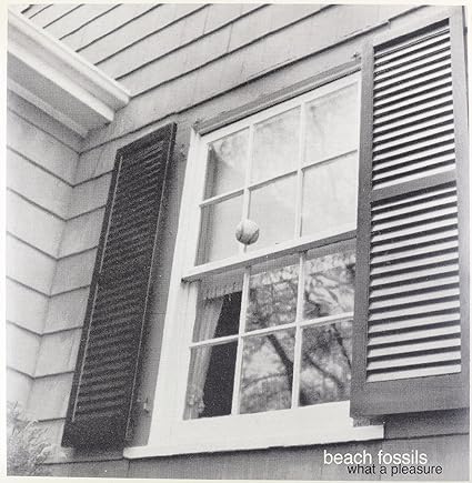 Beach Fossils Wikipedia