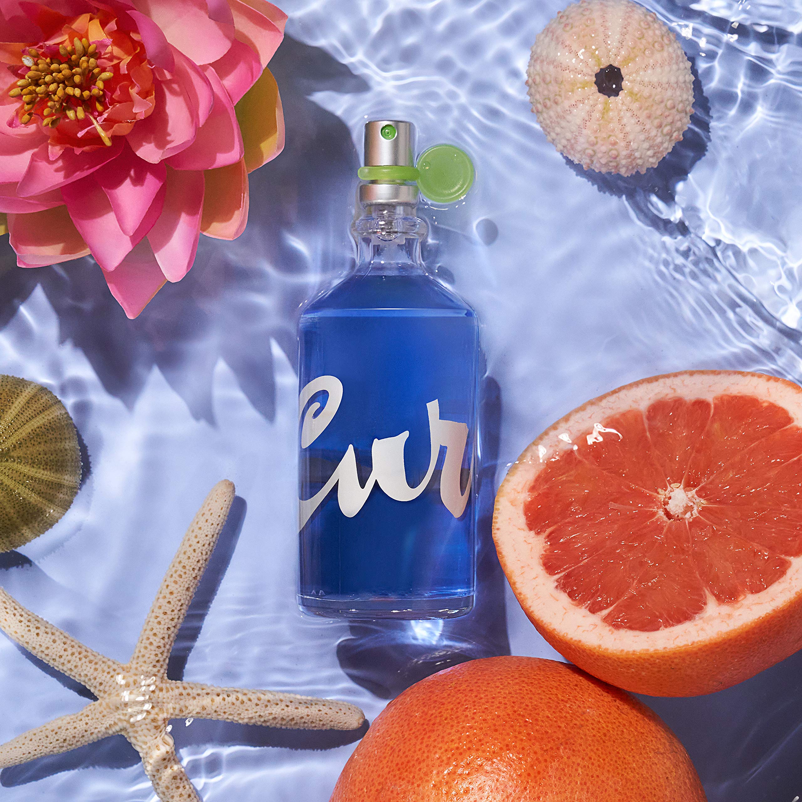 Curve Eau De Toilette Perfume Spray, Fragrance for Women, 1.7 fl oz