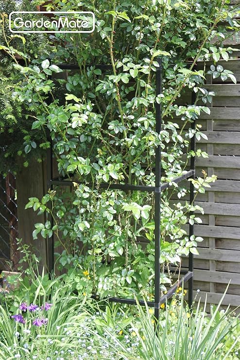 GardenMate – Pérgola Rank Columna celosía Ampliable – 1 módulo 50 ...