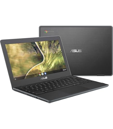 Chromebook本体 Chromebook  ASUS C223N ASUS Chromebook C223NA-DH02 11.6