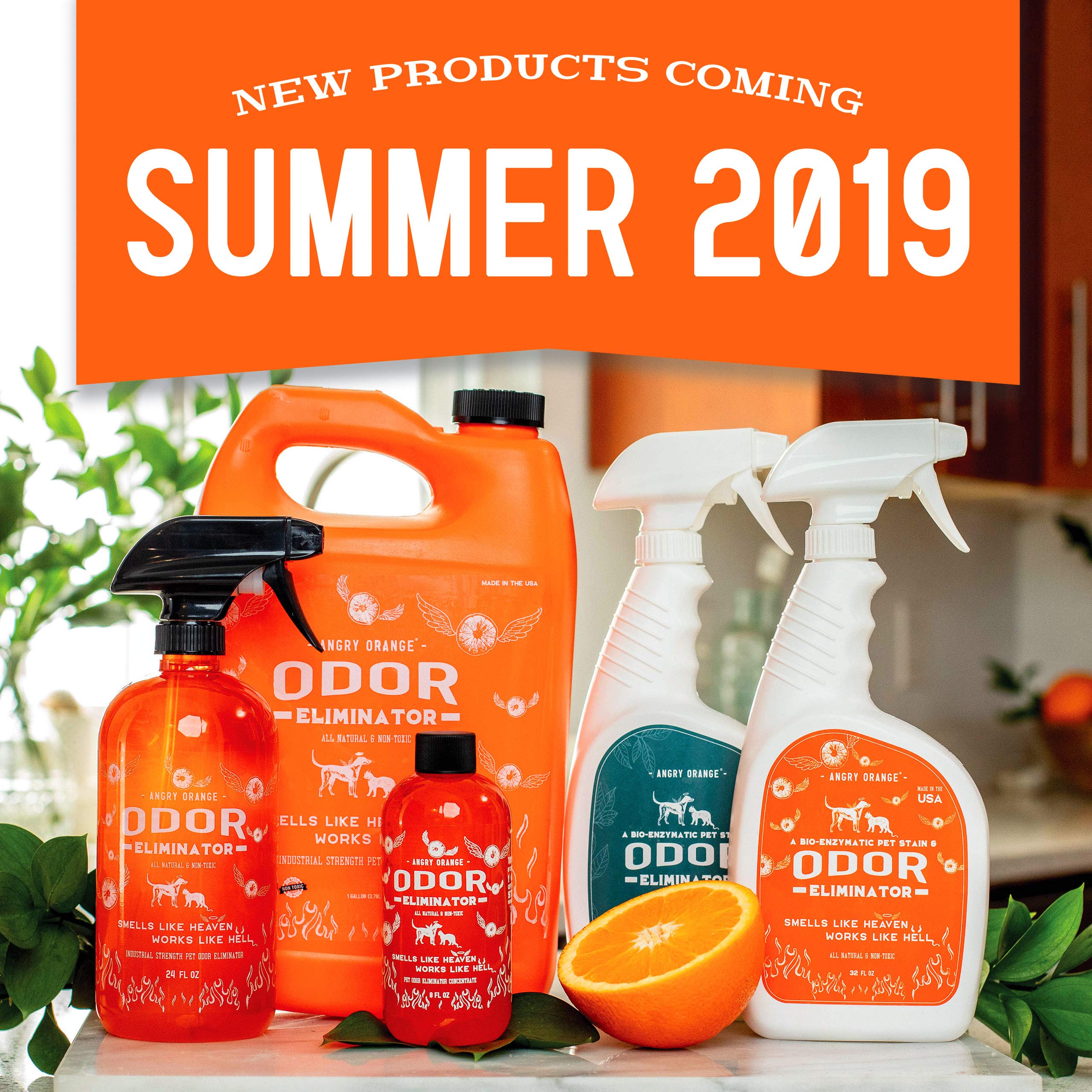 Angry Orange Pet Odor Eliminator for Dog and Cat Urine, Makes 1 Gallon