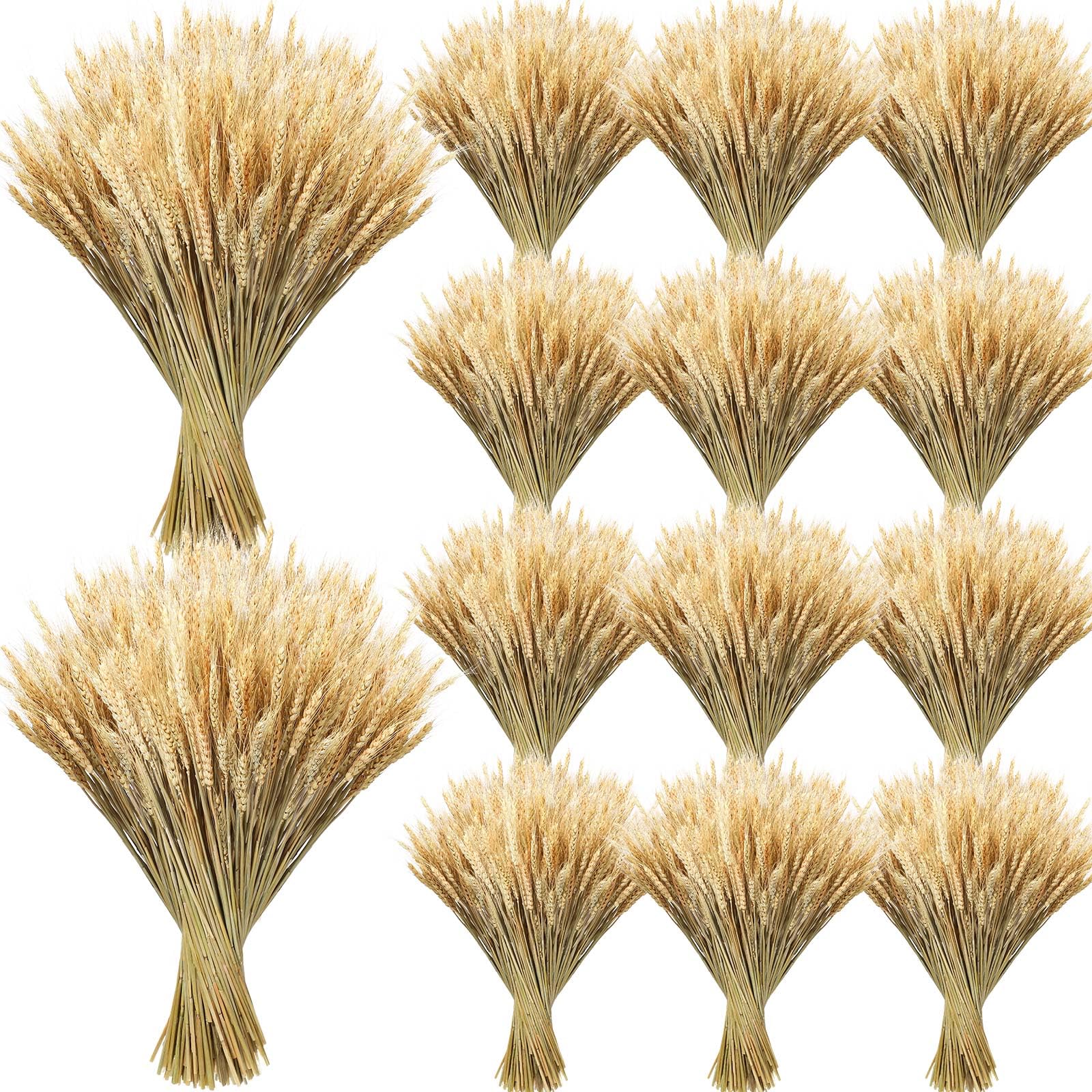 Photo 1 of Geosar 1600 Stems Dried Wheat Stalks for Decor Natural Wheat Grass Sheaves Bundle Farmhouse Artificial Flowers Arrangement for DIY Wedding Table Home Centerpieces Party Decorative (16 Inch)