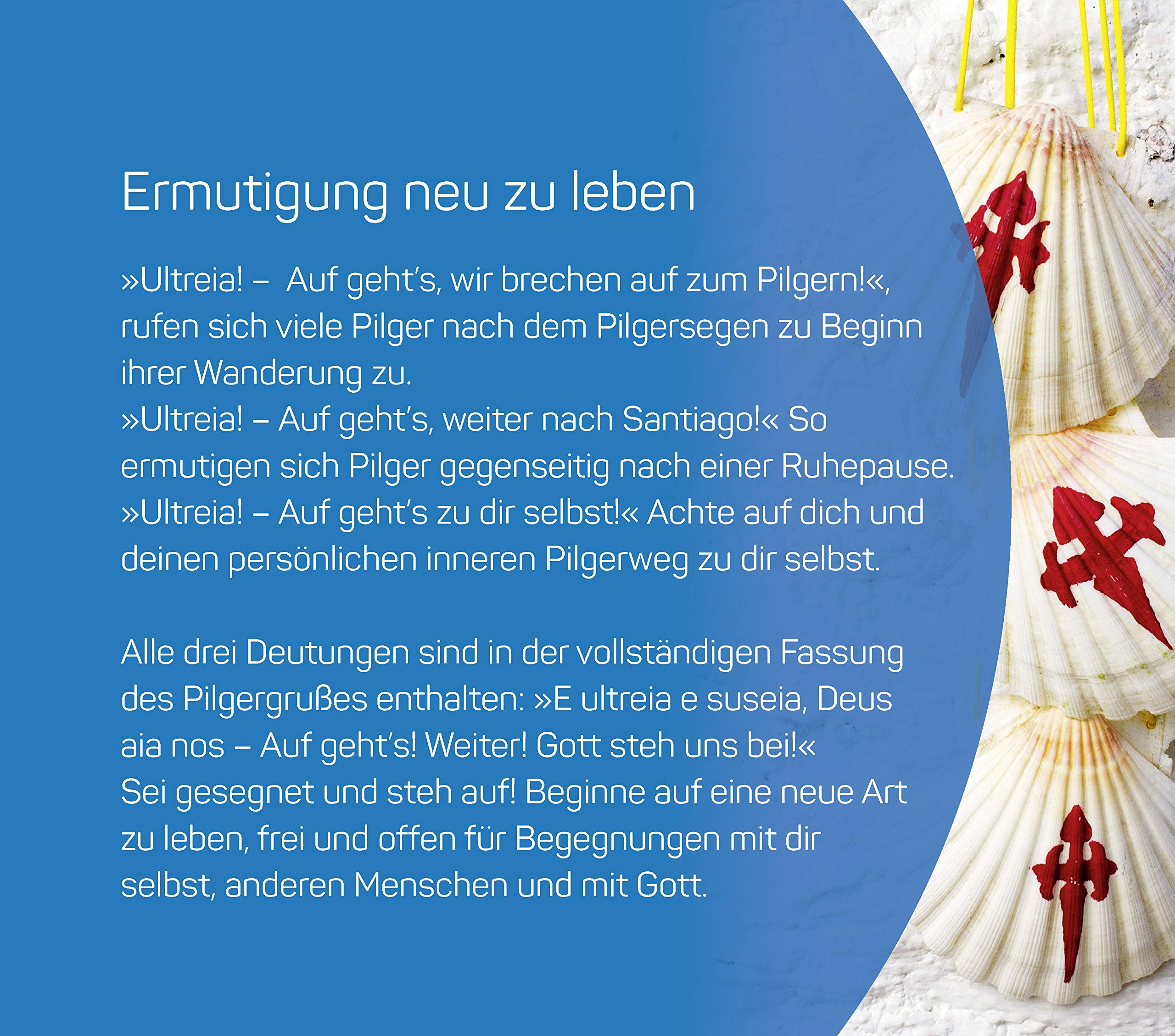 Schritte Werden Weg Impulse Fur Den Pilger Und Lebensweg Amazon De Peter Muller Bucher