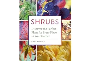 Shrubs: Discover the Perfect Plant for Every Place in Your Garden