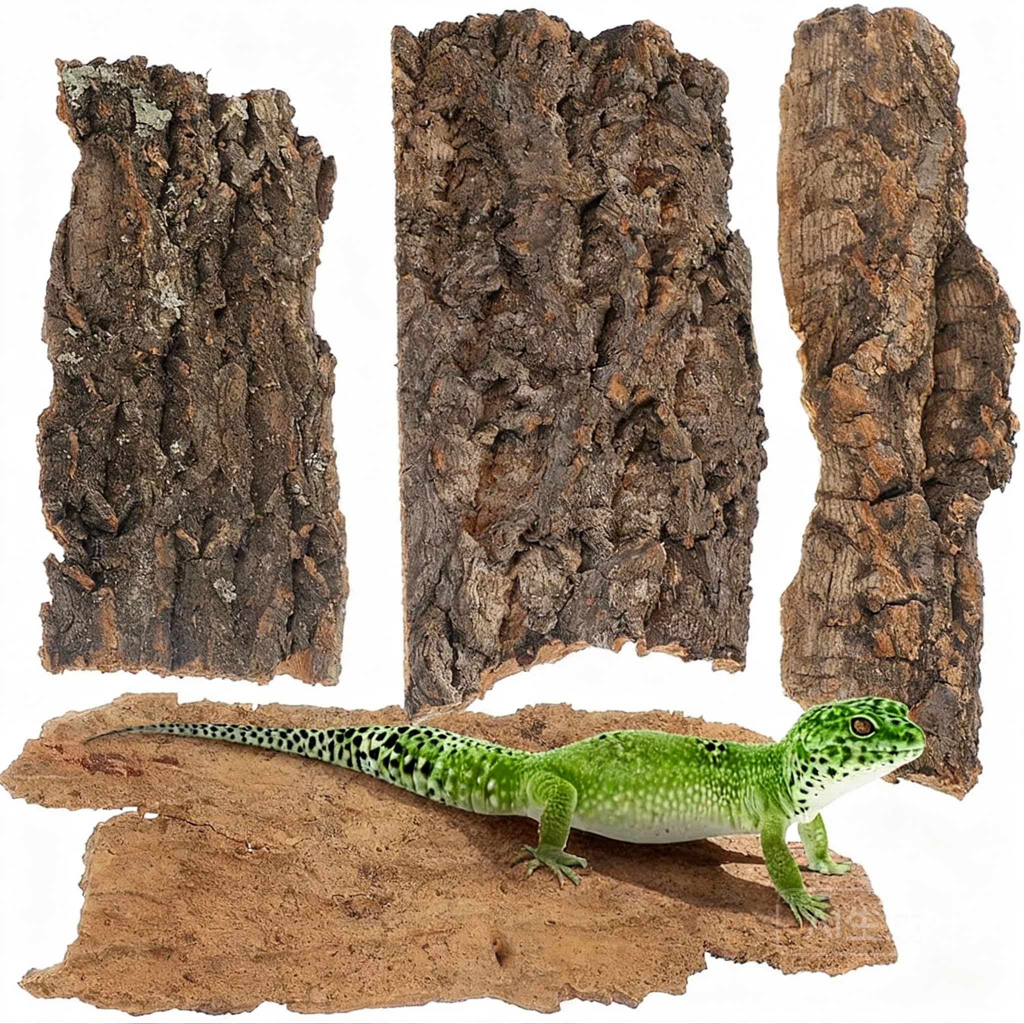 Tomaibaby 4PCS Reptile Cork Bark: 7.9" X 3.2" Natural Cork Bark Terrarium Background - Reptile Tank Accessories for Turtle Lizard Beared Dragon Chameleon Snake (Random Shape)