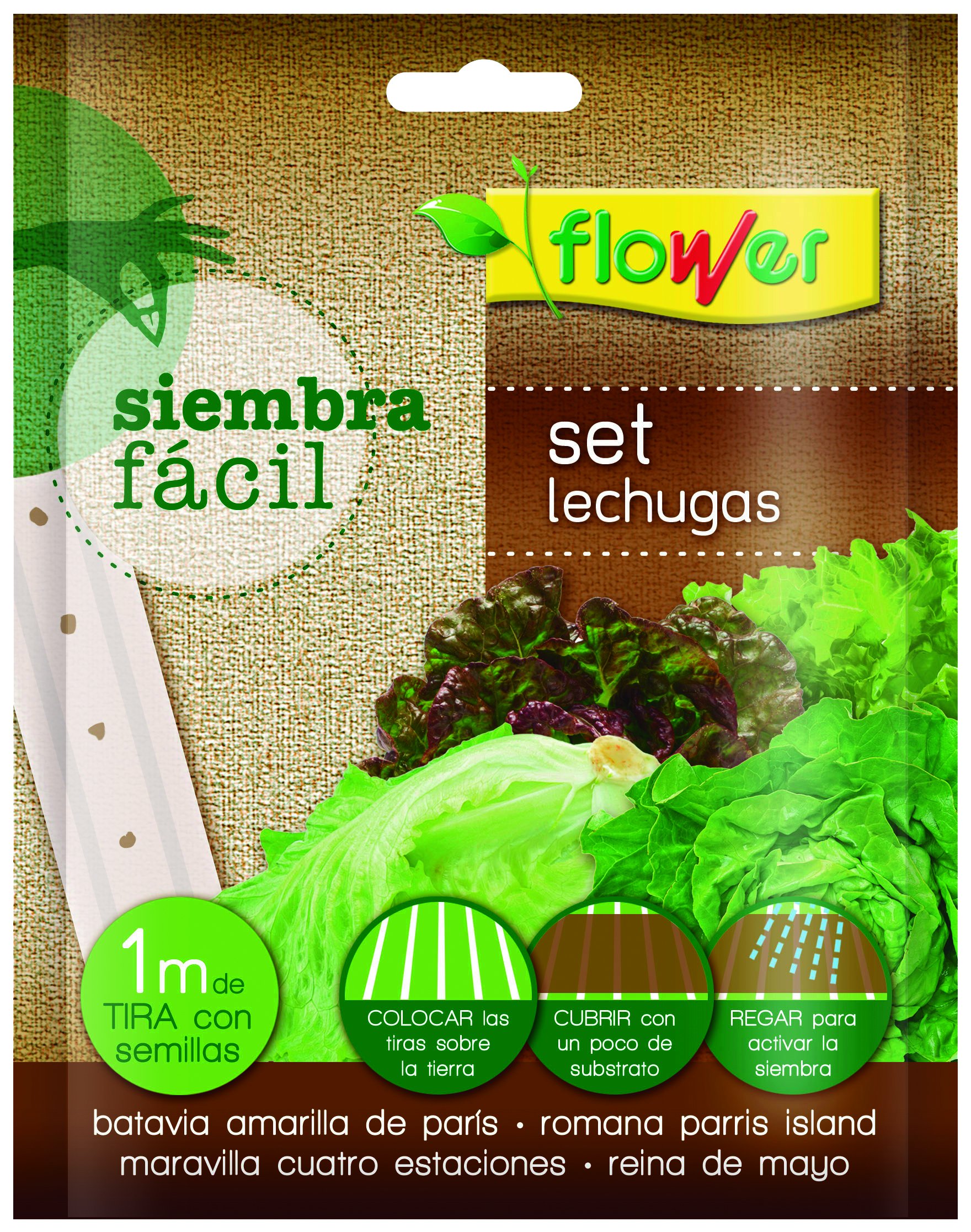 Flower 51165 51165-Seeding Easy Lettuce, Not Apply, 19 x 2x19 cm