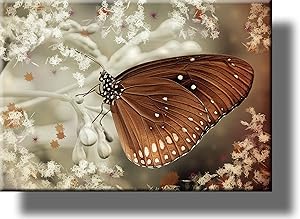Butterfly Décor Sign Picture on Stretched Canvas, Wall Art, Ready to Hang!
