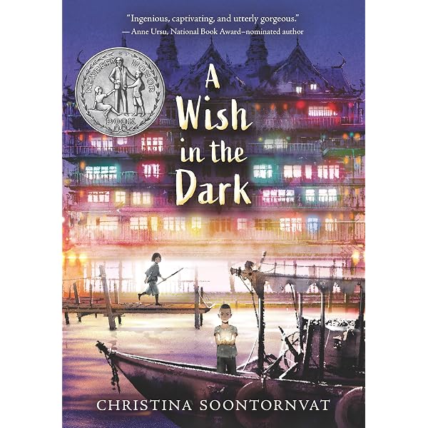 A Wish in the Dark: Soontornvat, Christina: 9781536204940: Amazon