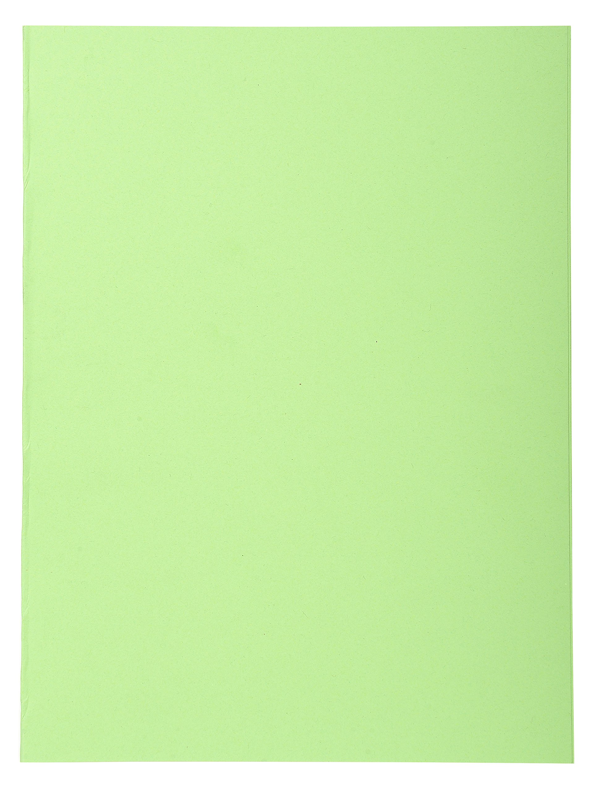 Exacompta - Ref 420004E - Forever Collection - Recycled Square Cut Folder - A4 (210 x 297mm), 170gsm Recycled Board, Blue Angel Certified - Pale Green (Pack of 100)