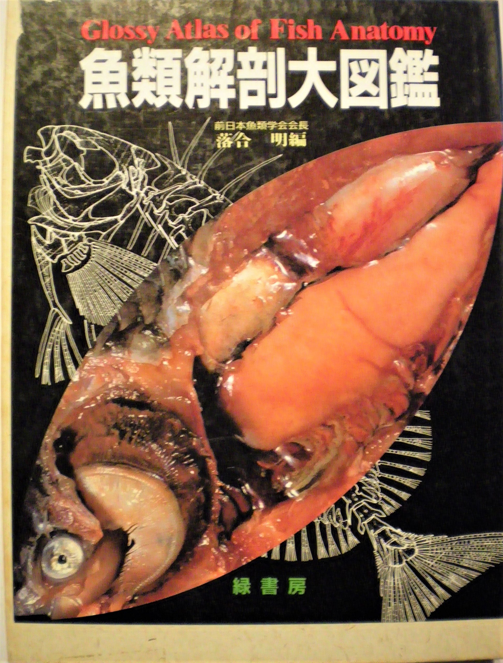 高い品質 図鑑 木村清志 新魚類解剖図鑑 送料無料 人気第6位 Www Endocenter Com Ua