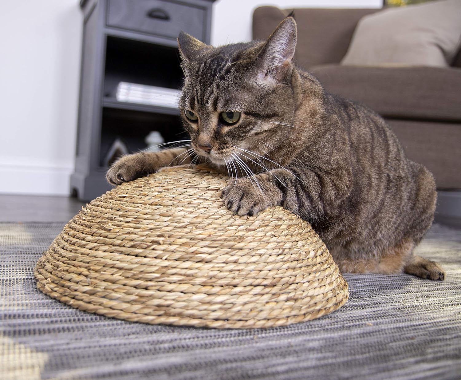 dome cat scratcher
