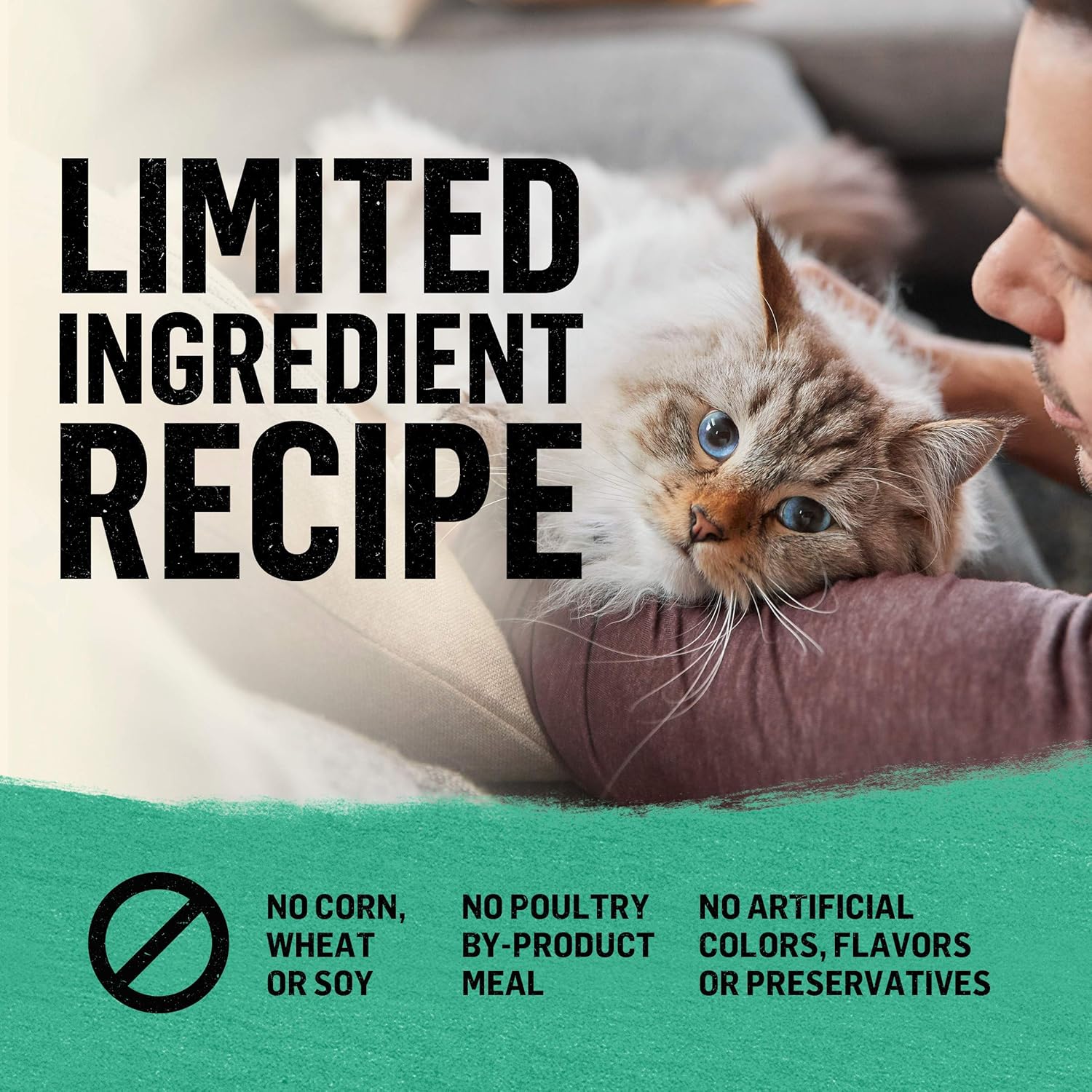 Purina Beyond Grain Free, Natural Dry Cat Food, Simply Grain Free Ocean Whitefish & Egg Recipe - 11 lb. Bag : Pet Supplies
