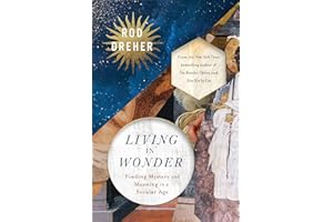 Living in Wonder: Finding Mystery and Meaning in a Secular Age