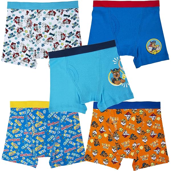 PJ Masks Little Boy's 5-Pack Pj Masks Brief Underwear Underwear, PJ MASK BOY - Multi, 6