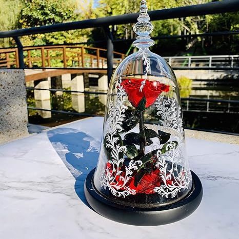 Amazon Mahelen 美女と野獣 父の日 プリザーブドフラワー バラ 枯れない花 薔薇 Rose Led ランプ プレゼント 電池 ギフト インテリア飾り 敬老の日 クリスマス 誕生日 記念日 結婚式 お祝い 贈り物 レッド プリザーブドフラワー オンライン通販