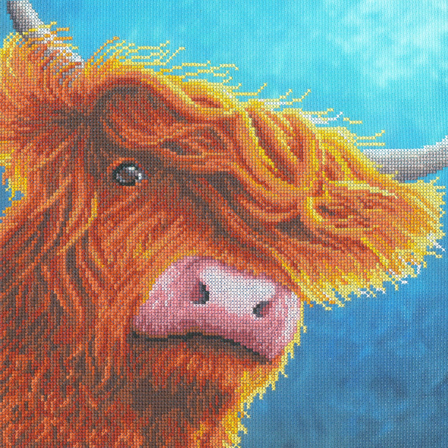 Bothy Threads - Highlander Counted Cross Stitch Kit