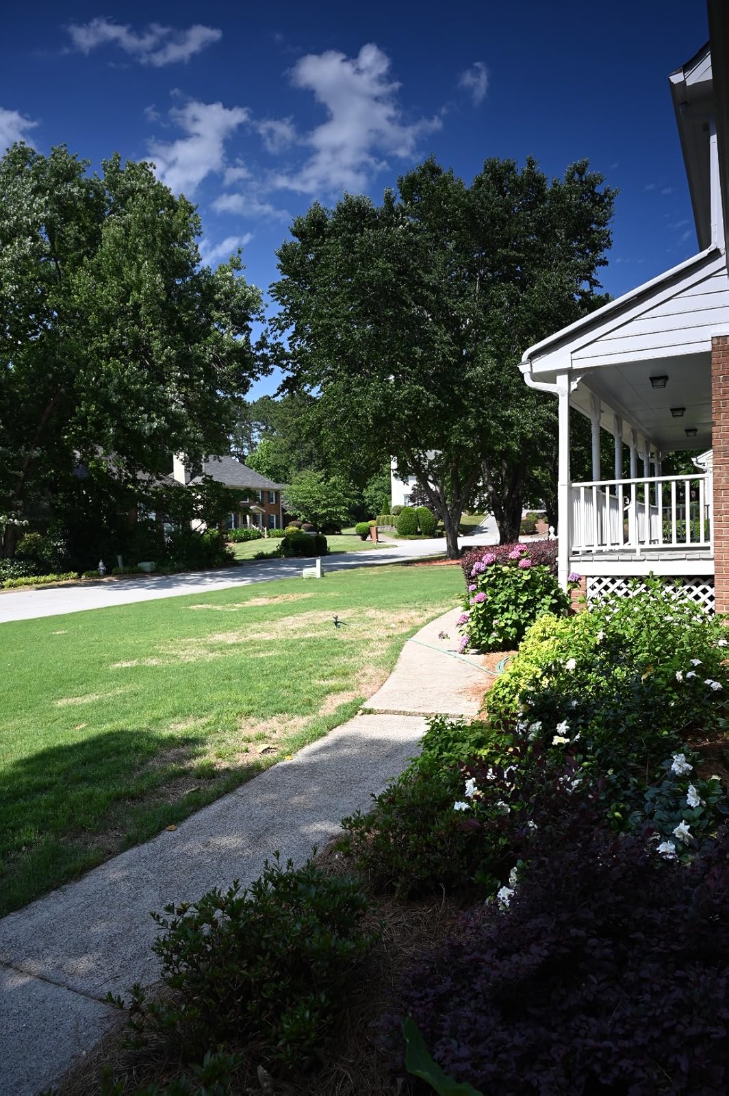 La densidad neutra casi logra desarrollos notables