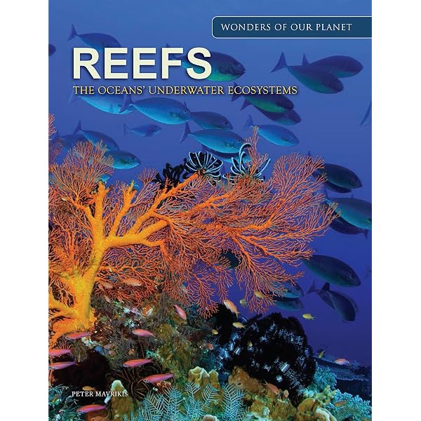Amazon.com: The Great Barrier Reef: 9780600003557: Power, Allan: 圖書