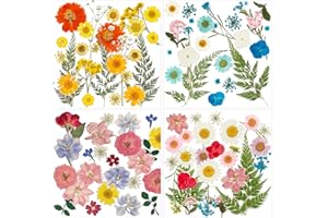 BEEBEAR-DHT 100 Pcs Dried Pressed Flowers Natural Pressed Wildflower for Crafts Nails Scrapbooking Resin, Small Dried Flowers and Green Leaf Fits for Holiday Decor