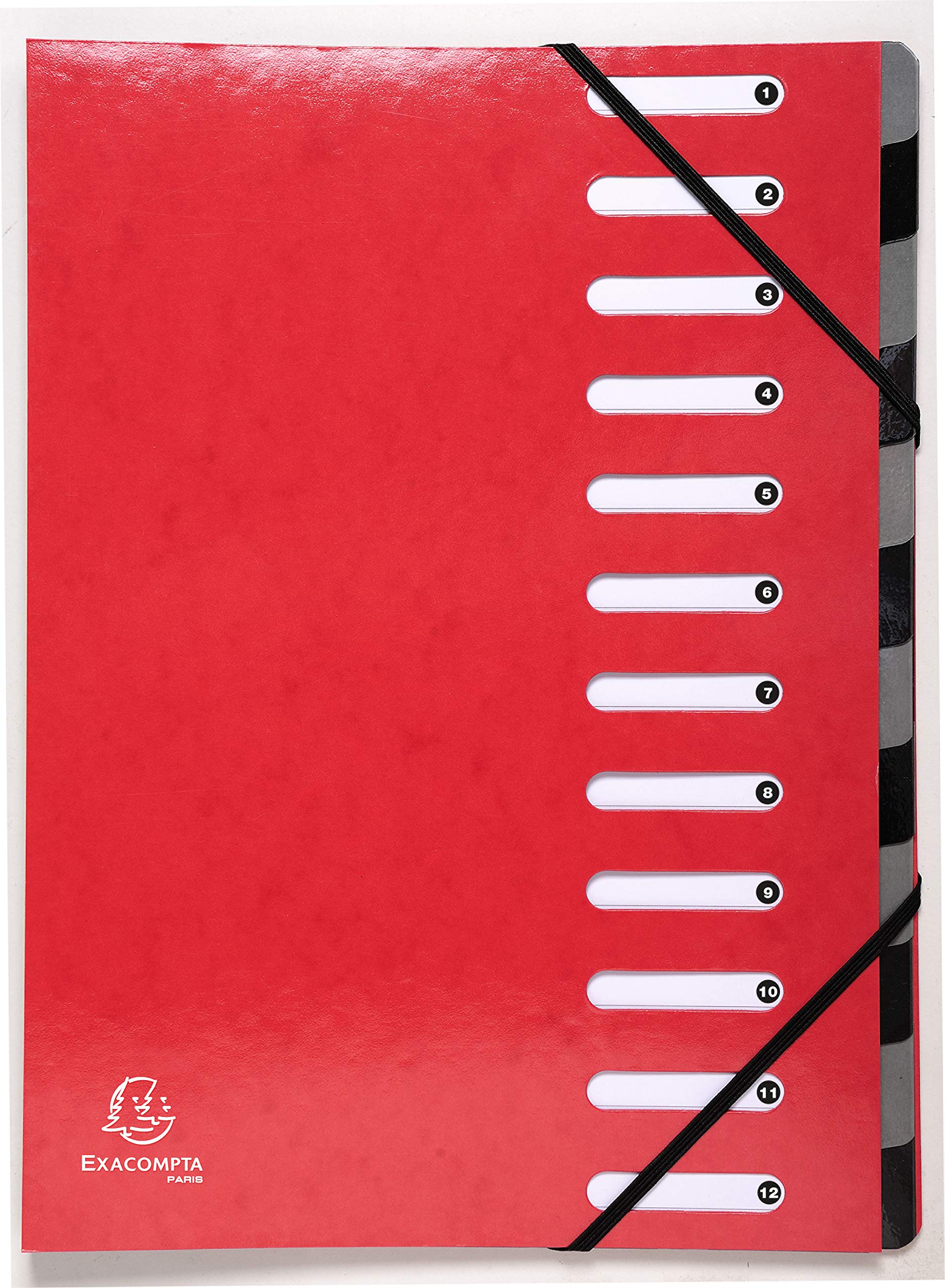 Exacompta - Ref 53925E - Iderama Collection - Harmonika Multipart File - 245 x 320mm in Size, Suitable for A4 Documents, 12 Multicoloured Tabbed Sections - Red