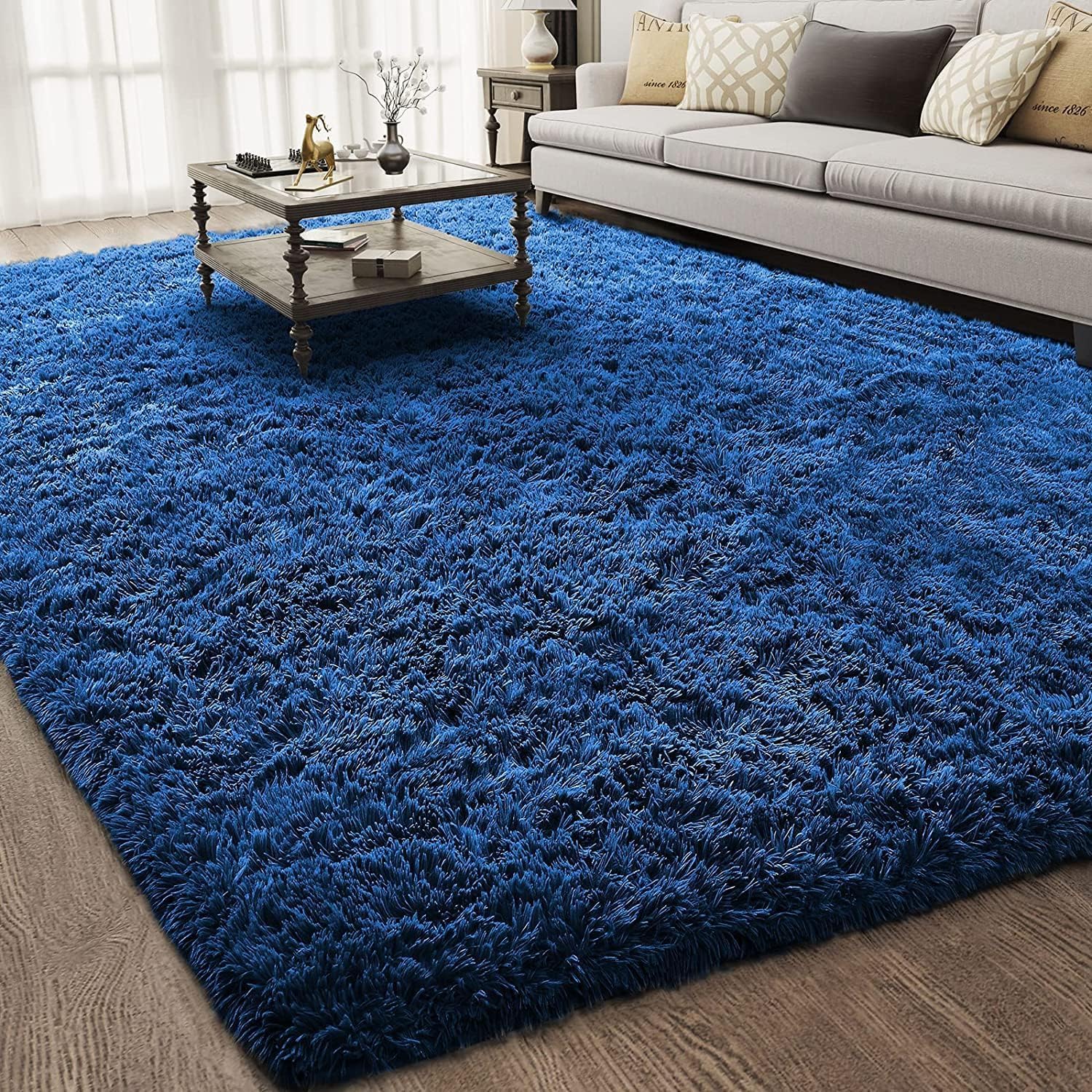 Photo 1 of Ophanie 5x8 Rugs for Living Room, Blue, Large Fluffy Fuzzy Plush Shag Shag Comfy Soft, Non-Slip Indoor Floor Carpet, for Kids Boys Girls Dorm, Room, Bedroom, Playroom, Home Decor Aesthetic