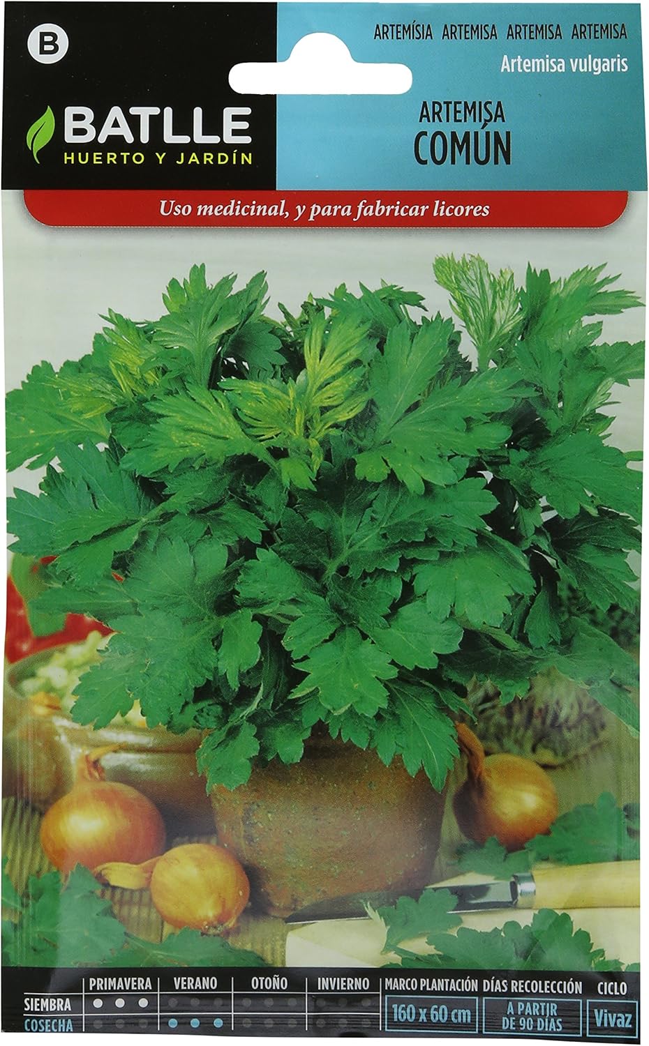 Semillas Aromáticas - Artemisa común - Batlle: Amazon.es: Jardín