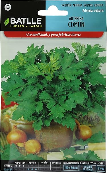 Semillas Aromáticas - Artemisa común - Batlle: Amazon.es: Jardín