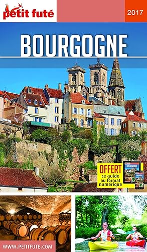 Download Guide Bourgogne 2017 Petit Futé PDF