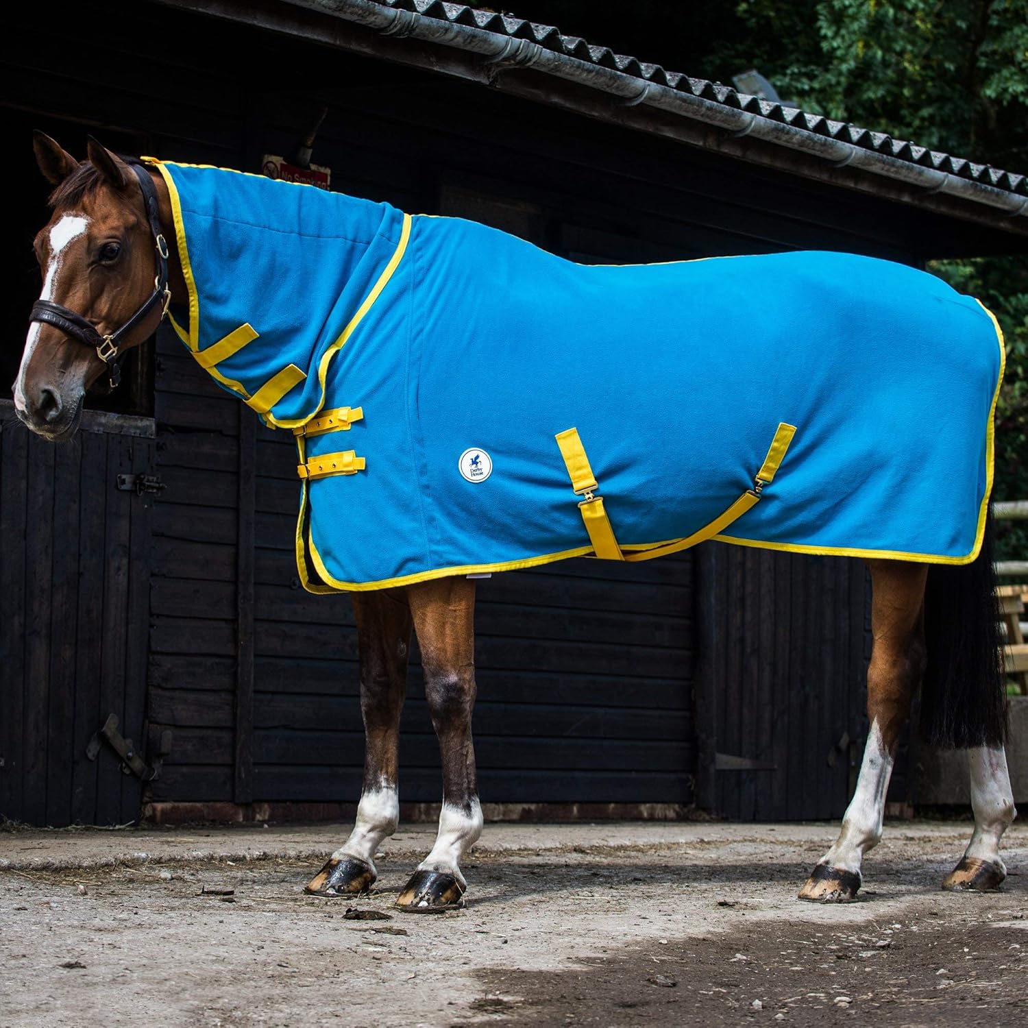 Pro Derby フリーシア B07jvgcc11 ブルージュエル House 4フィート3 コンボフリースラグ 馬 100 正規品