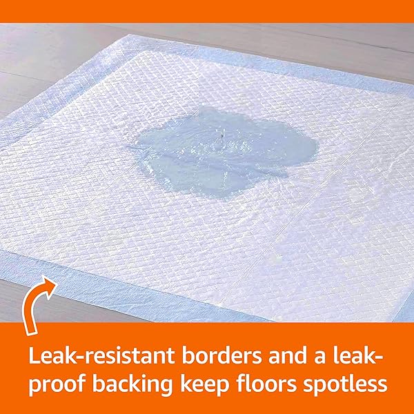 AMAZON BASICS ABSORBENT, LEAK-PROOF DOG AND PUPPY PEE PADS WITH 5-LAYER DESIGN AND QUICK-DRY SURFACE FOR POTTY TRAINING, STANDARD ABSORBENCY, REGULAR SIZE, 22 X 22 INCH – PACK OF 50, BLUE & WHITE