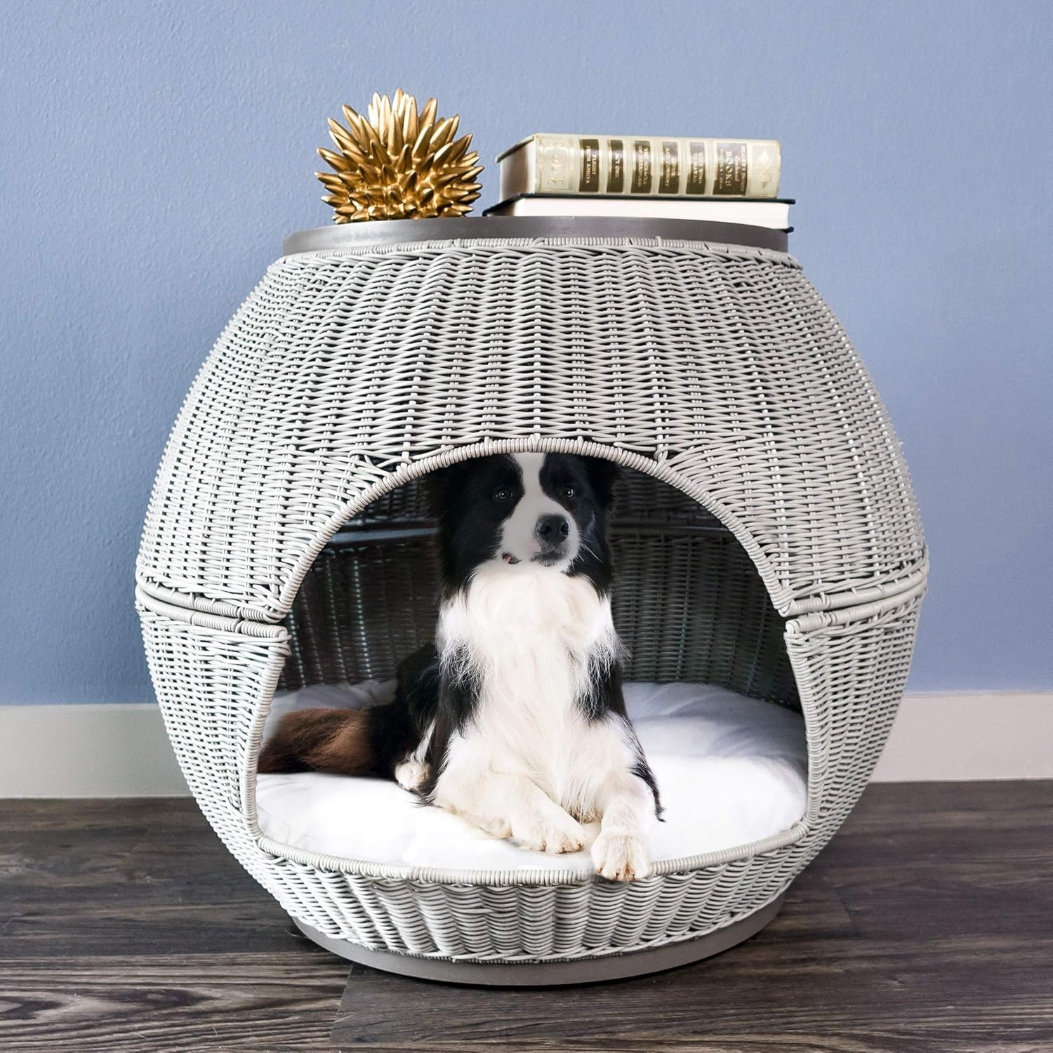 dog igloos amazon