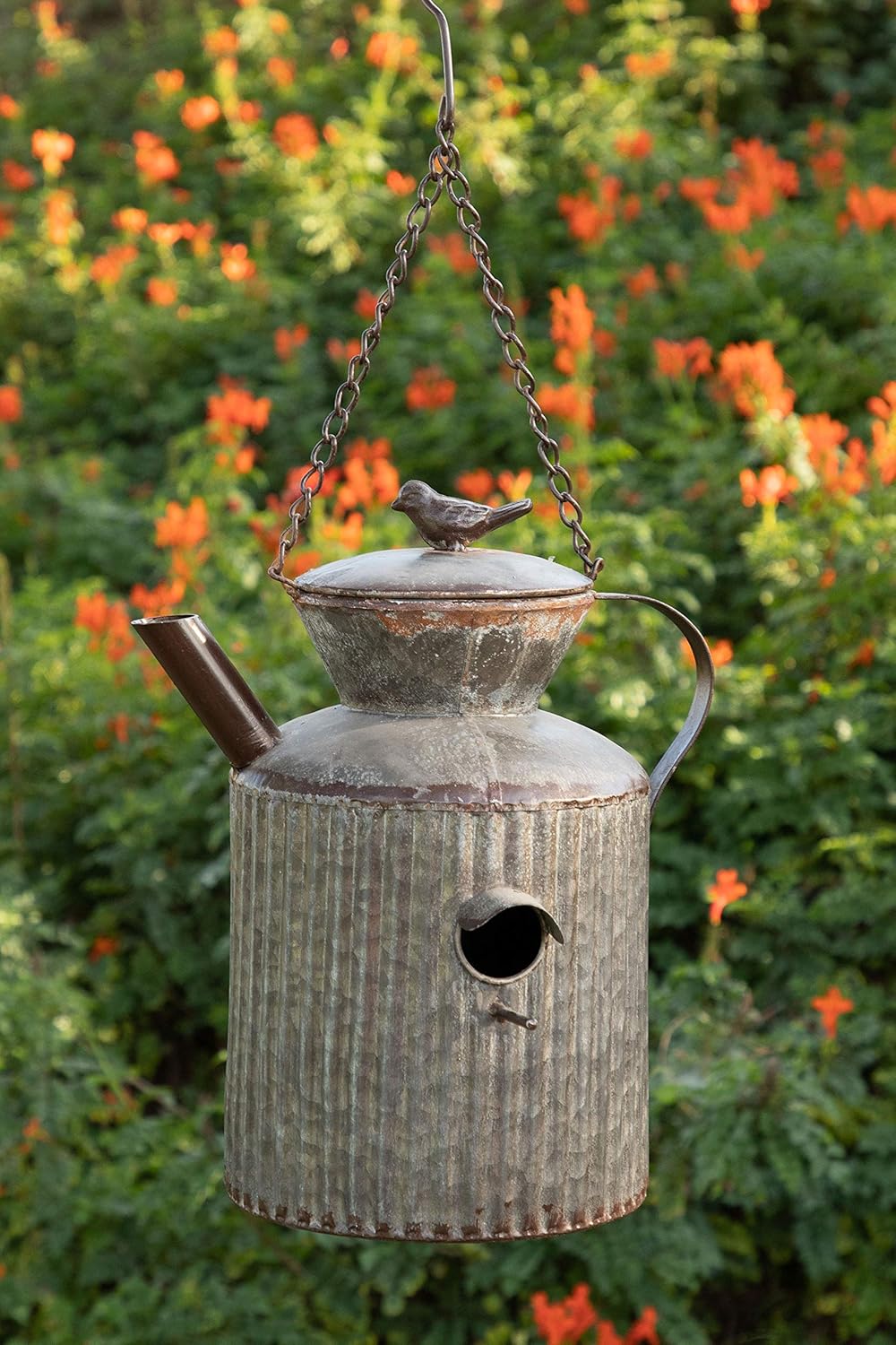 Amazon Com Alpine Corporation Ors648 Watering Tin Can Birdhouse