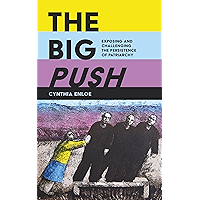 The Big Push: Exposing and Challenging the Persistence of Patriarchy book cover