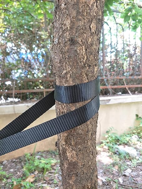 1,700 Lbs Strength Jimeternal 65Ft Tree Tie Strap Staking and Guying