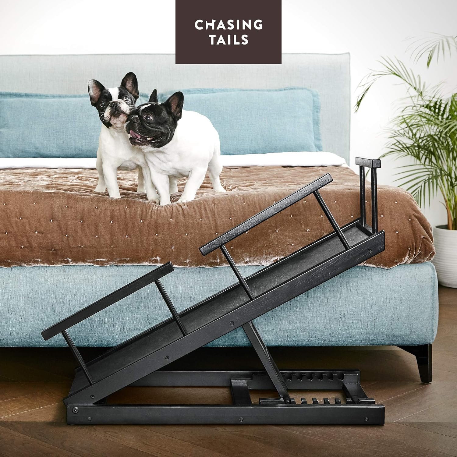 Chasing Tails Dog Ramp for Bed - Pet Ramp for Small/Large Dogs, Paw Ramp for Dogs and Cats, Adjustable Height from 10 to 20 Inches - Sturdy, with Side Rails for Additional Safety : Pet Supplies