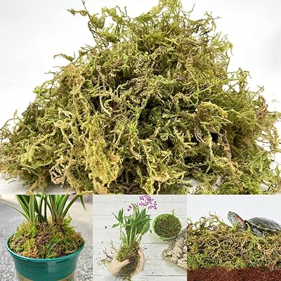 YUNSTK Natural Sphagnum Moss 5 Quarts Dried Moss for Plants Terrarium Orchid