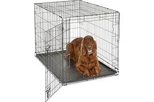 New World Single Door Folding Metal 42-Inch Dog Crate, Enhanced Security, Includes Leak-Proof Pan & Divider Panel, For Large-Sized Breeds