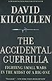 The Accidental Guerrilla: Fighting Small Wars in the Midst of a Big One