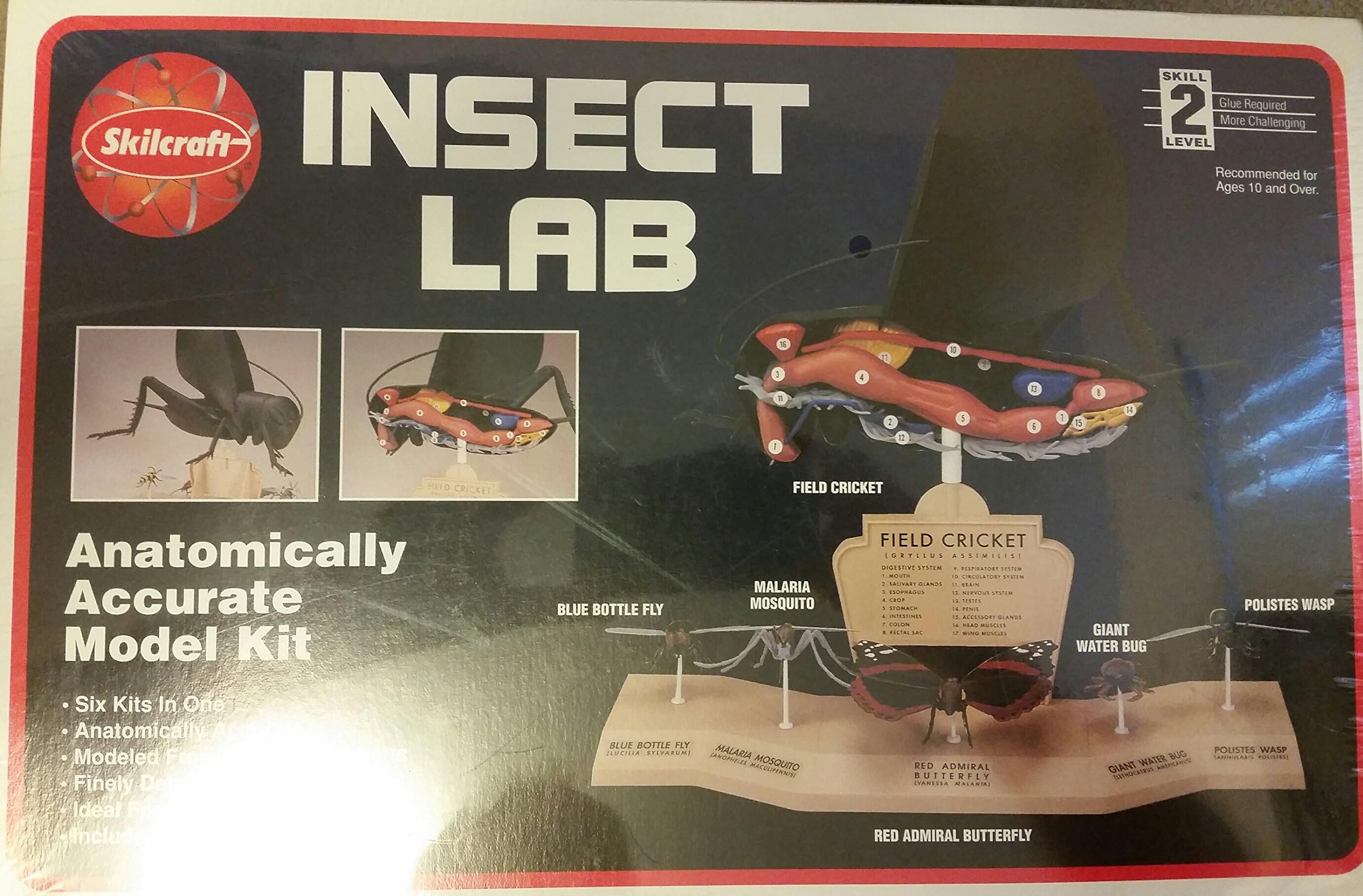 Insect Lab by Skilcraft